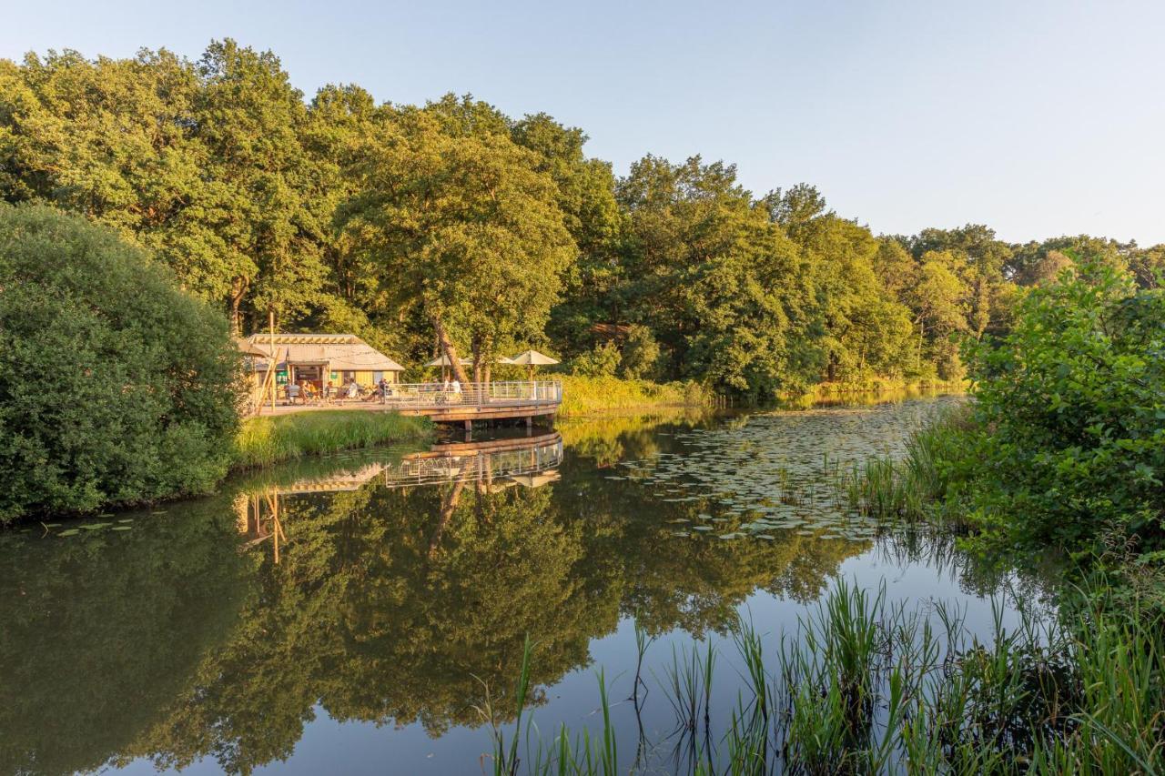 Chalets De Roos Beerze エクステリア 写真